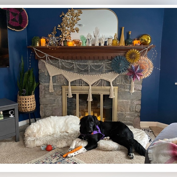 EVERYTHING MUST GO! - Picture 10 of 11